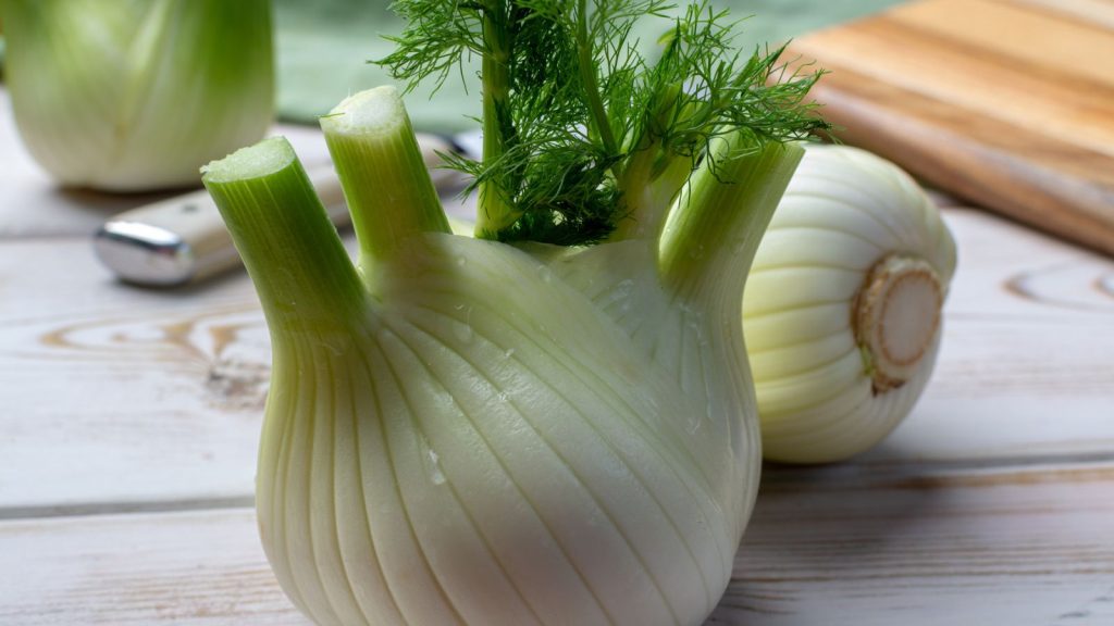 21 Rare Vegetables to Sow for a Garden of Surprises 9 raw fresh florence fennel bulbs close up