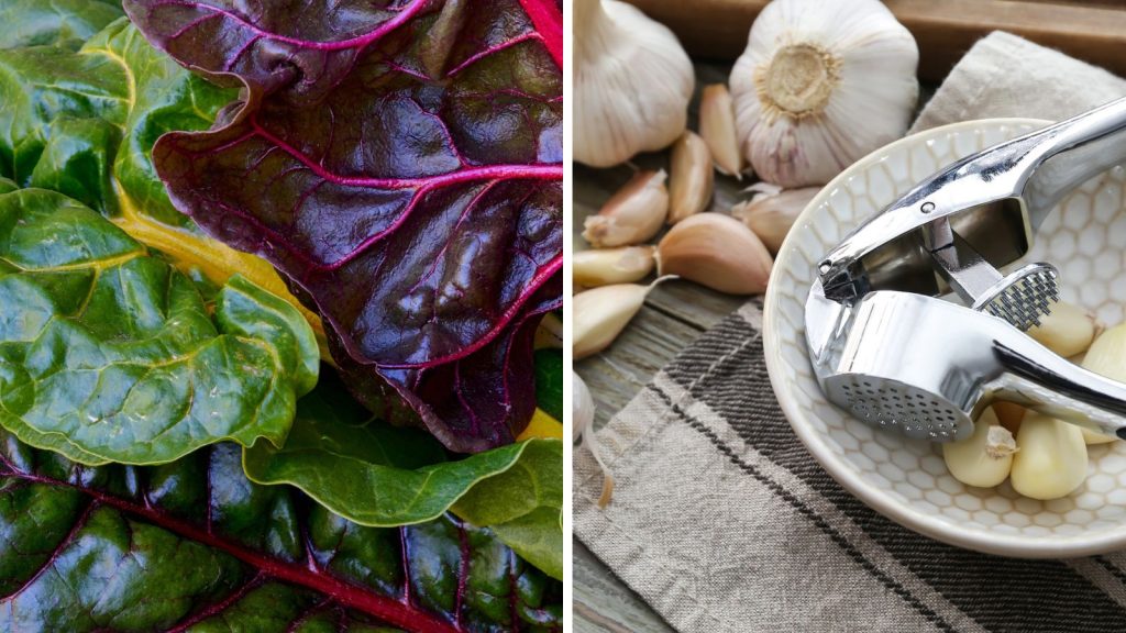 18 Vegetables That Grow Better Together in Raised Garden Beds 16 swiss chard and garlic