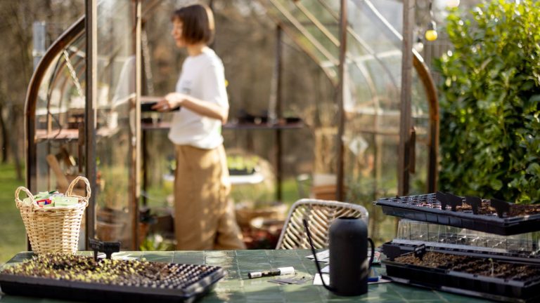 Rural Homes Are Surging in Demand—Here’s Why More Families Are Going Off-Grid