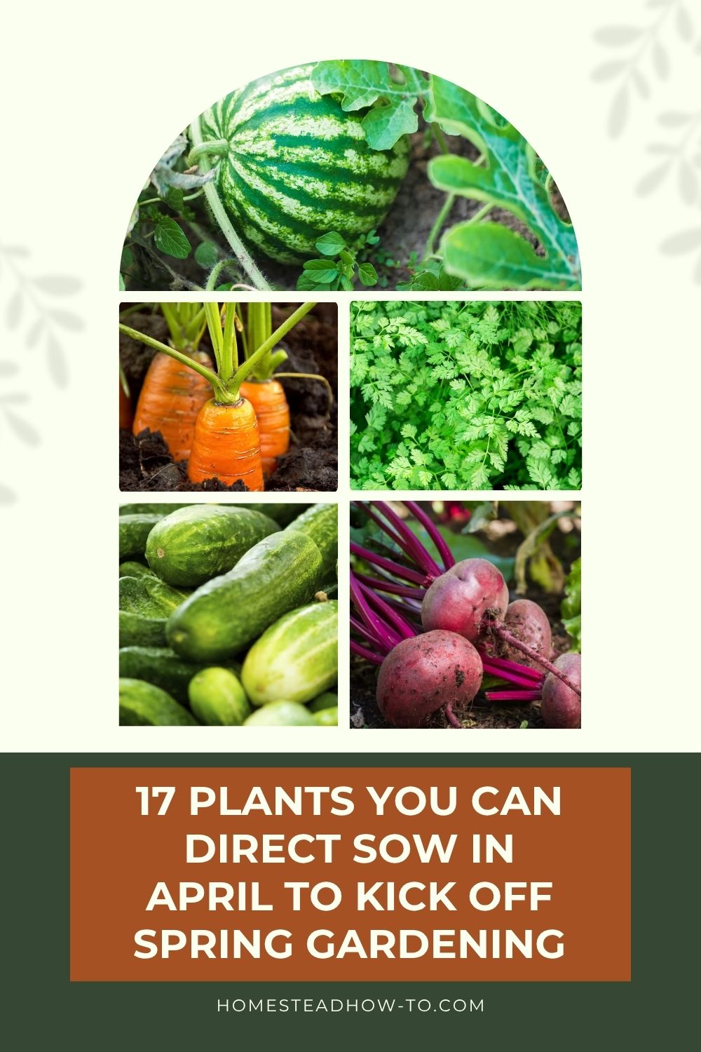 17 Plants You Can Direct Sow In April To Kick Off Spring Gardening