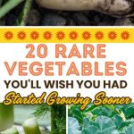 20 Rare Vegetables You'll Wish You Had Started Growing Sooner