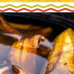 How to Put Banana Peels to Work in the Yard