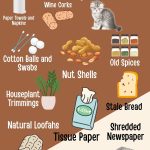 Surprising Everyday Items You Can Add to Your Compost Pile