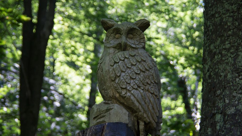 Tired of Birds Nesting on Your Porch? Try These 12 Simple Fixes 11 Wood carvings of an owl