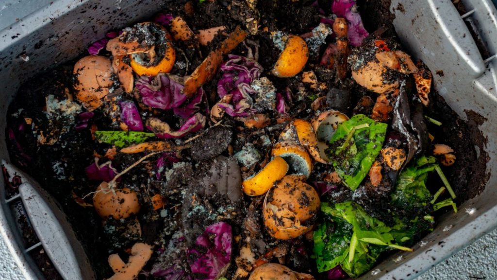 11 Secret Ingredients to Make Your Garden Grow 2 compost bin with orange