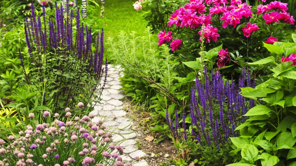 17 Ways to Put Old Newspapers to Work in Your Garden 13 garden path walkway with flowers