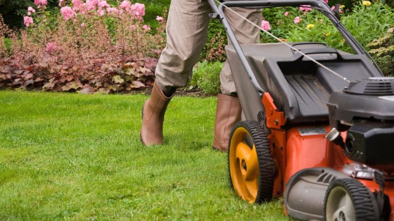 15 Habits That Could Be Ruining Your Lawn