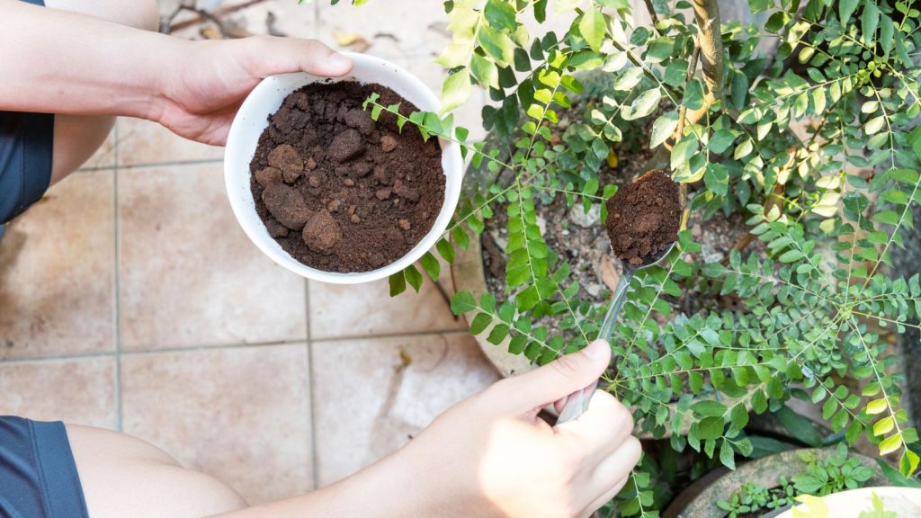 14 Refreshing Homemade Iced Coffees to Wake You Up Right 16 putting coffee in garden