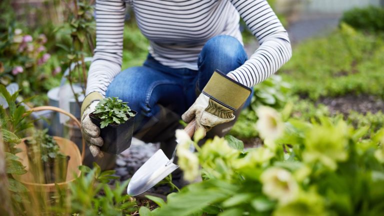 17 Plants You Can Direct Sow in April to Kick Off Spring Gardening