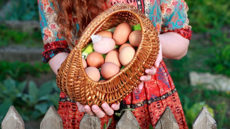 15 Frugal Hacks Homesteaders Wished They Knew Sooner