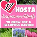 17 Hosta Companion Plants to Grow for a Beautiful Garden