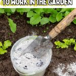 How to Put Wood Ash to Work in the Garden