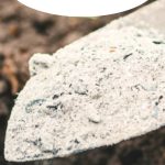 How to Put Wood Ash to Work in the Garden