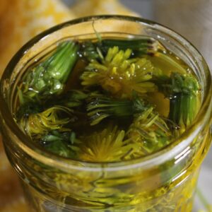 How to Make Dandelion Infused Oil 7 IMG 2857 scaled