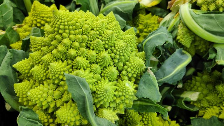 20 Rare Vegetables You’ll Wish You Had Started Growing Sooner