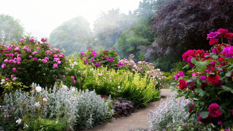 15 Enchanting Plants for a Classic English Garden