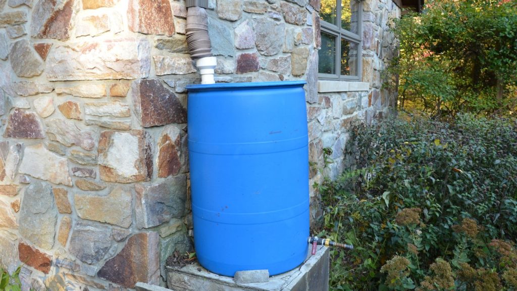 My Backyard Was Full of Mosquitoes—Here’s What Finally Worked 16 blue barrel in backyard being filled with water downsprout