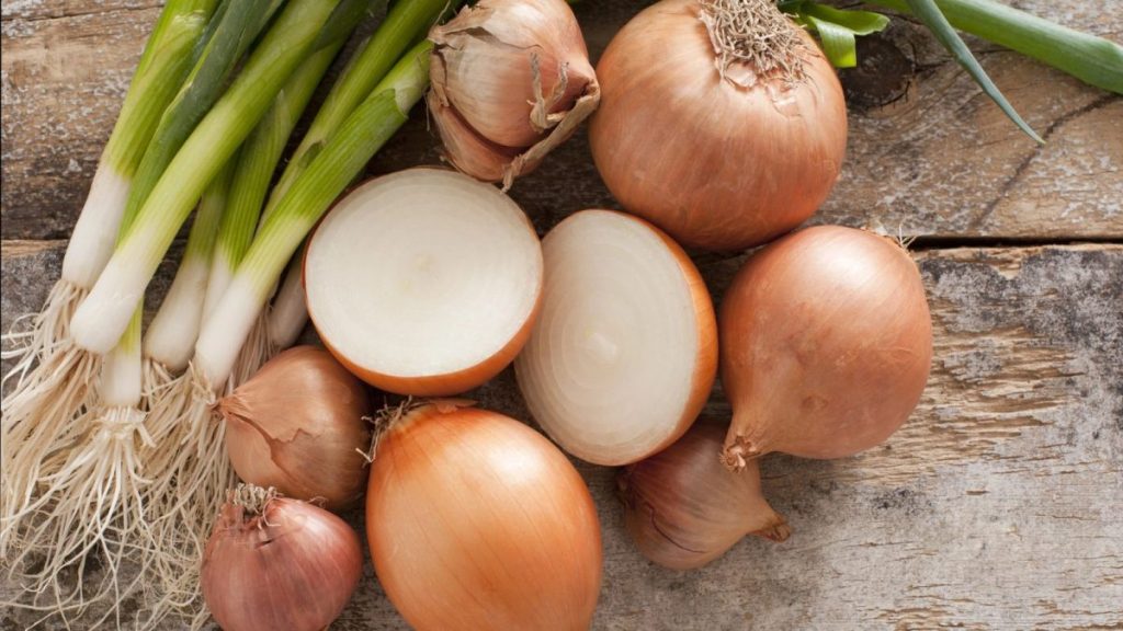 Grow Juicier Melons with These Cantaloupe Companion Plants 12 onion 1200x675