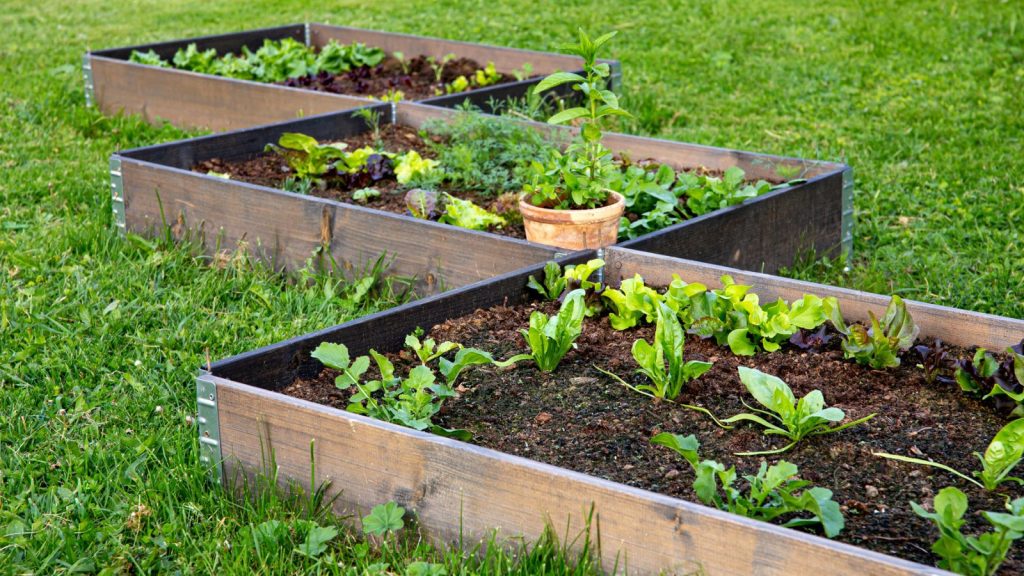 The Best Things You Can Do With All Those Fallen Twigs in Your Yard 11 raised garden beds
