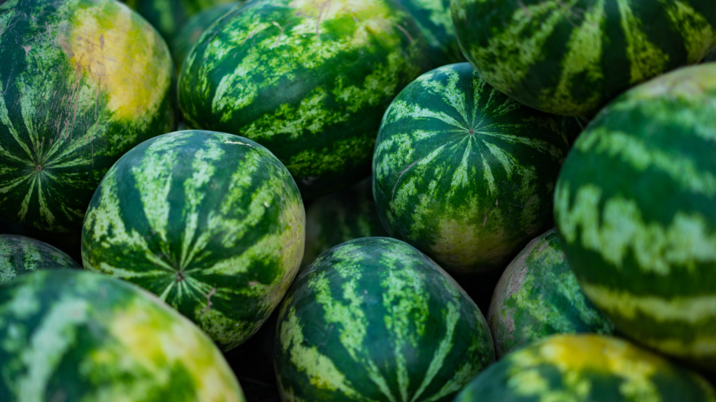 How to Tell If a Watermelon Is Ripe and Ready to Eat 1 watermelons