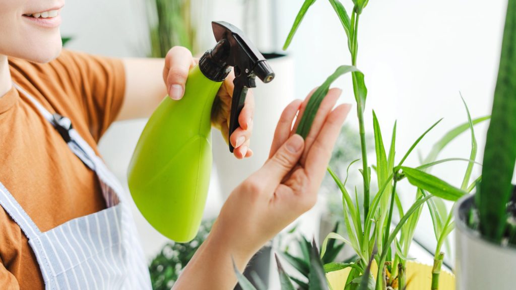 Bagworms Hide in Plain Sight — Here’s How to Stop Them Before They Kill Your Plants 4 woman spraying plants