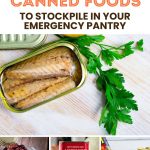 15 Absolute Best Canned Foods to Stockpile in Your Emergency Pantry