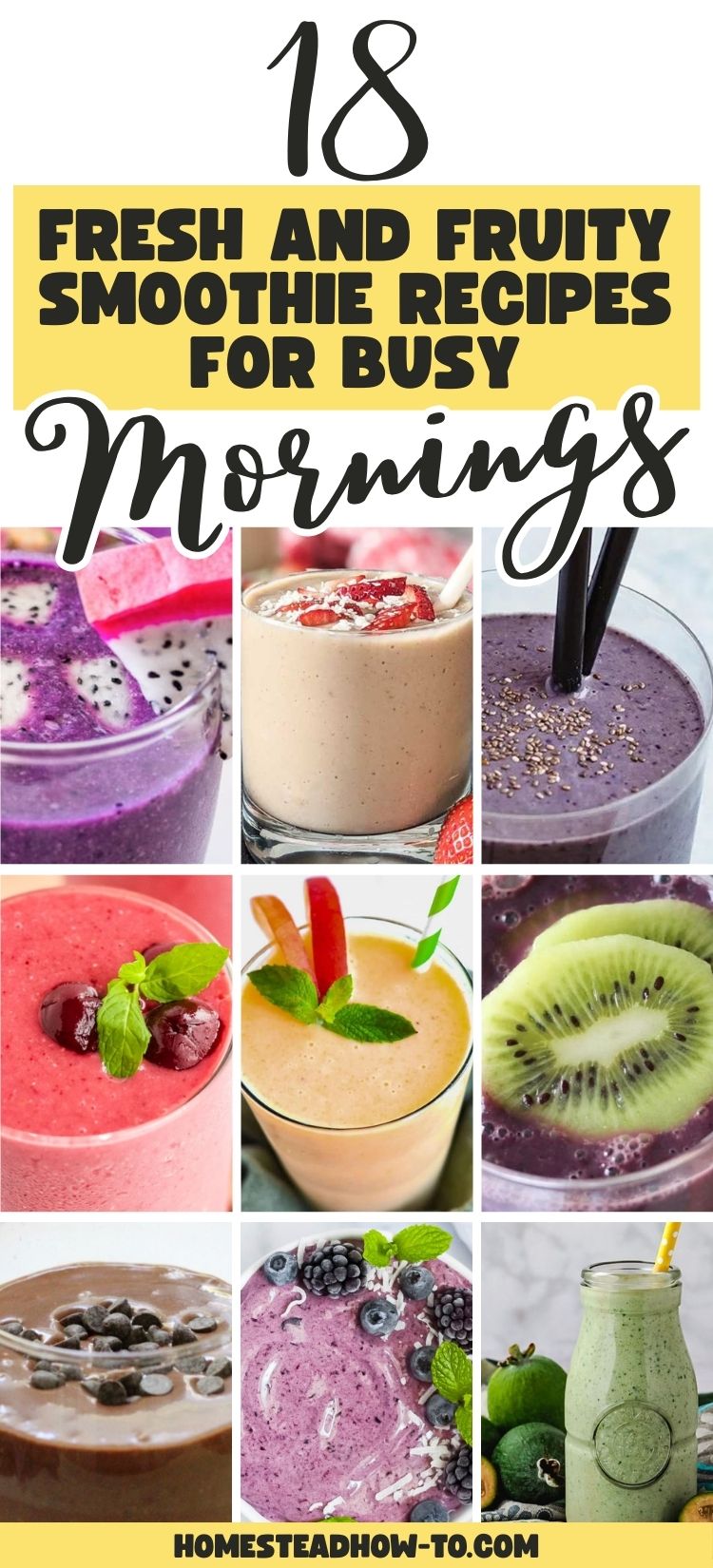 18 Fresh And Fruity Smoothie Recipes For Busy Mornings