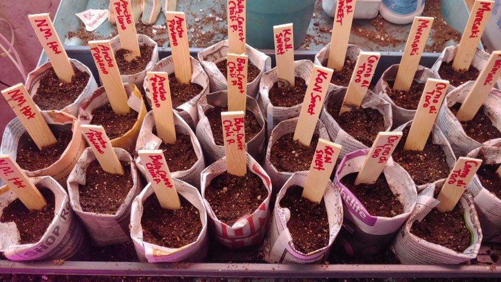 Newspaper Seed Starting Pots
