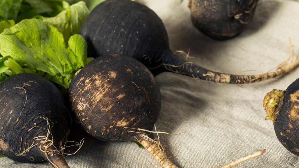 21 Rare Vegetables to Sow for a Garden of Surprises