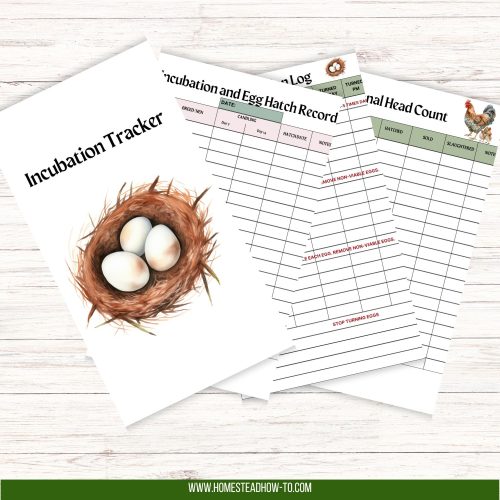 Chicken Record Keeping Planner: A 45-Page All-in-One Tool To Organize ...
