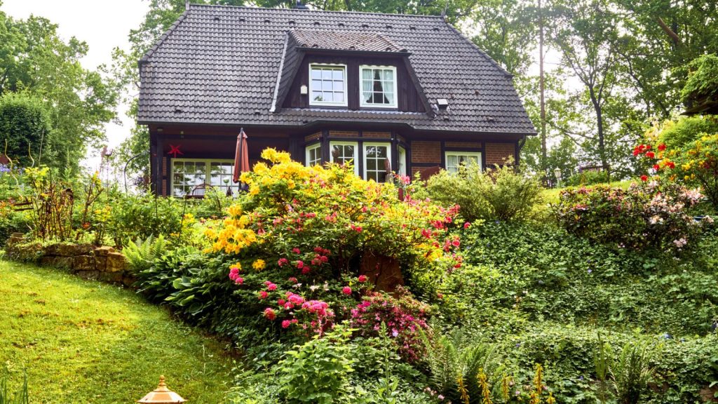 Should You Plant More Annuals or Perennials? 6 old world garden flowers