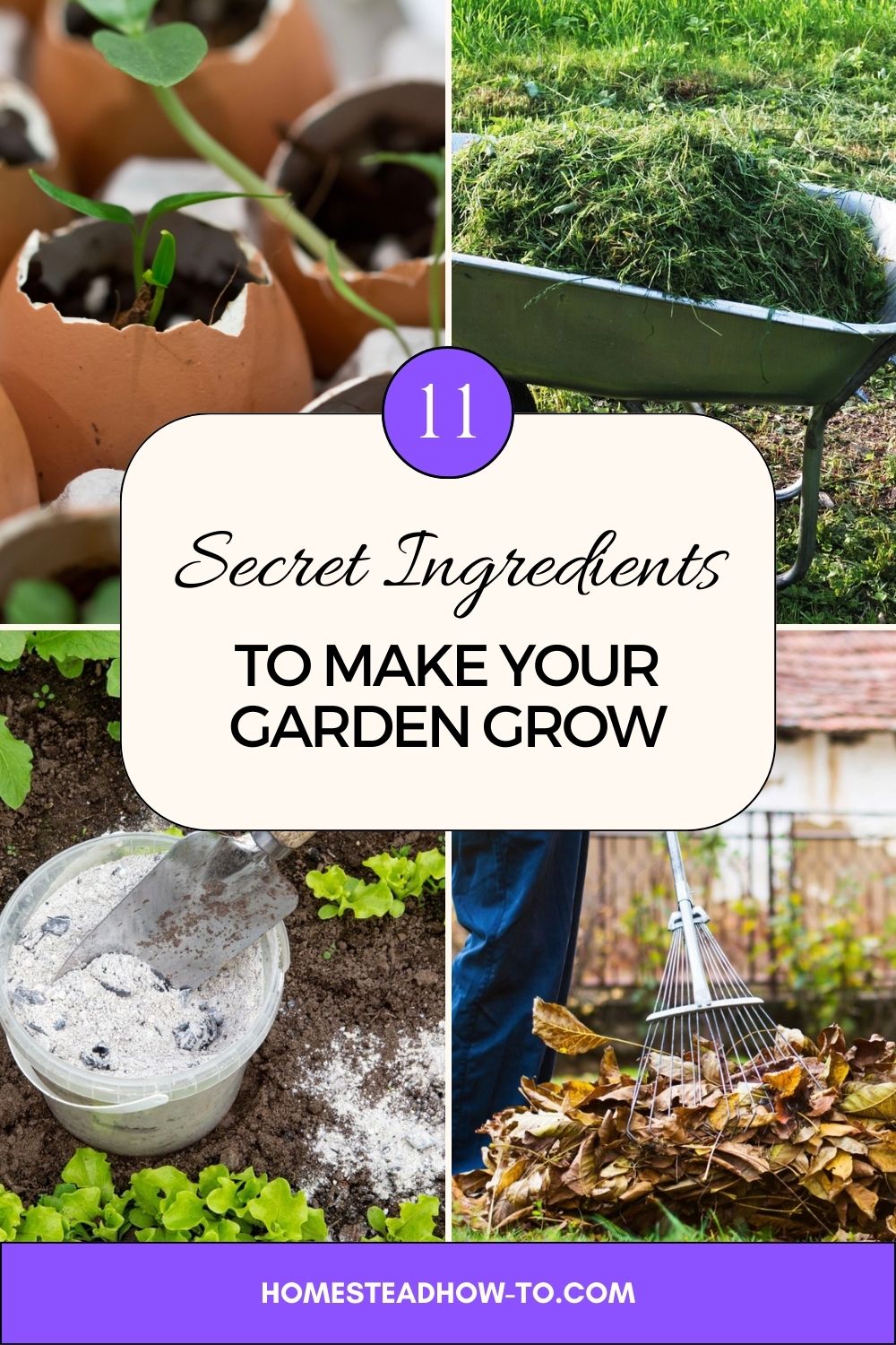 11 Secret Ingredients To Make Your Garden Grow