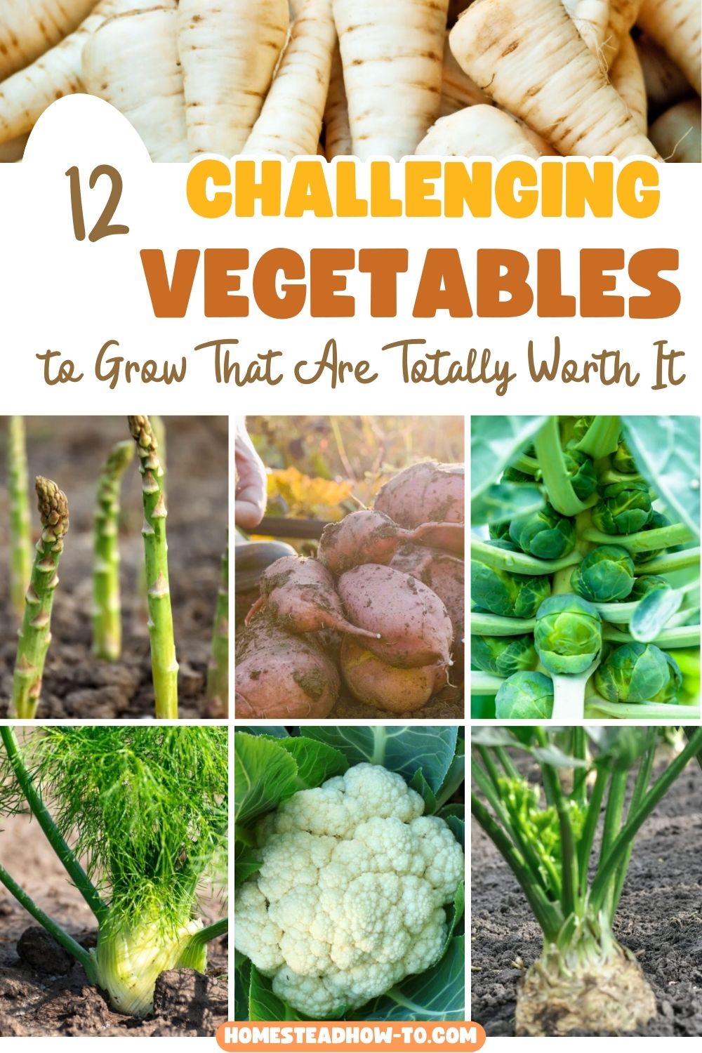 12 Challenging Vegetables To Grow That Are Totally Worth It