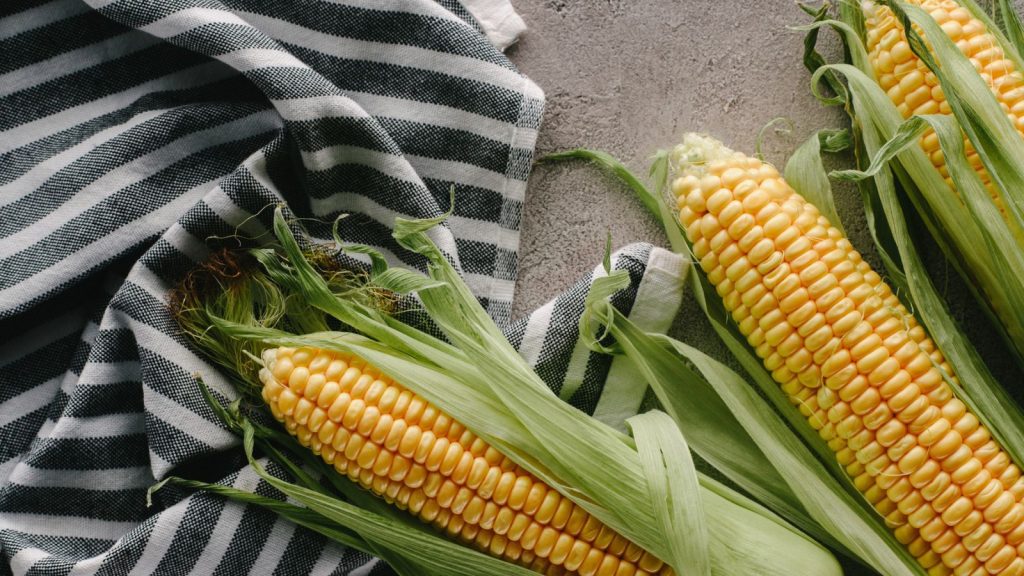 Keep These 14 Plants from Growing Next to Your Tomatoes 1 3 corns