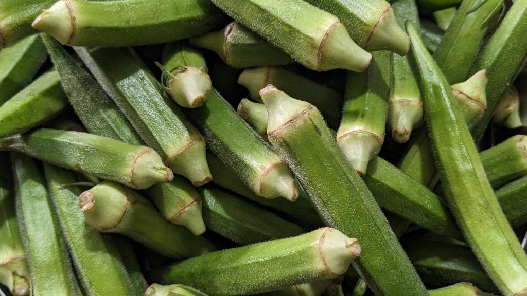 Keep These 14 Plants from Growing Next to Your Tomatoes 7 okra