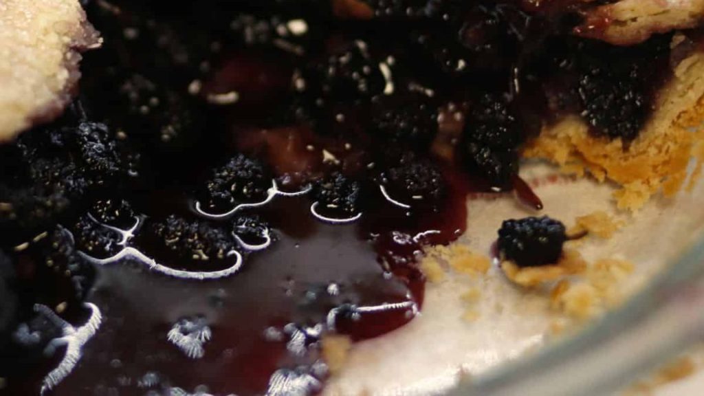 9 Sweet Recipe Ideas to Use Up Fresh Mulberries from the Yard 4 Easy Mulberry Pie – A Classic Old Fashion Recipe