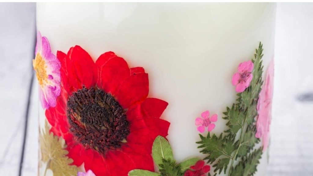 Image Credit xoxoBella