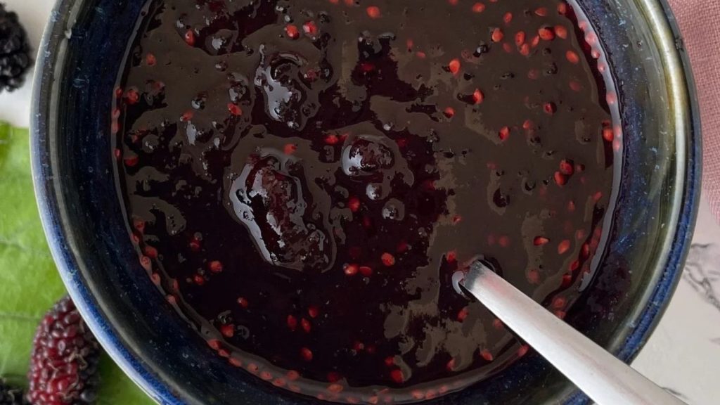 9 Sweet Recipe Ideas to Use Up Fresh Mulberries from the Yard 3 Mulberry BBQ Sauce