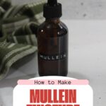 Mullein Tincture