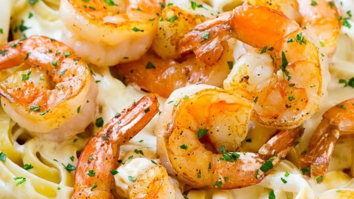 Shrimp Alfredo