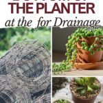 The Best Materials to Layer at the Bottom of the Planter for Drainage