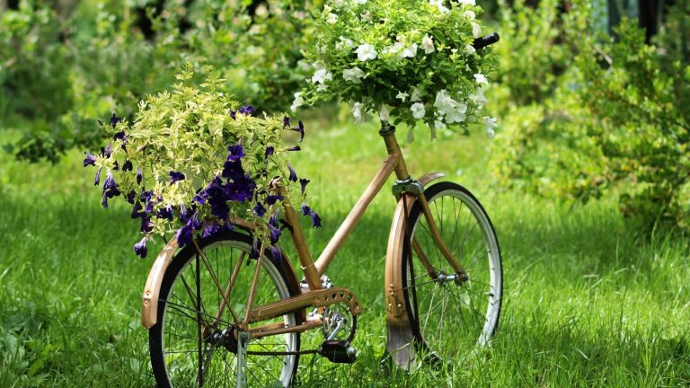 Nostalgia Gardening Brings the Past into Full Bloom in Your Backyard
