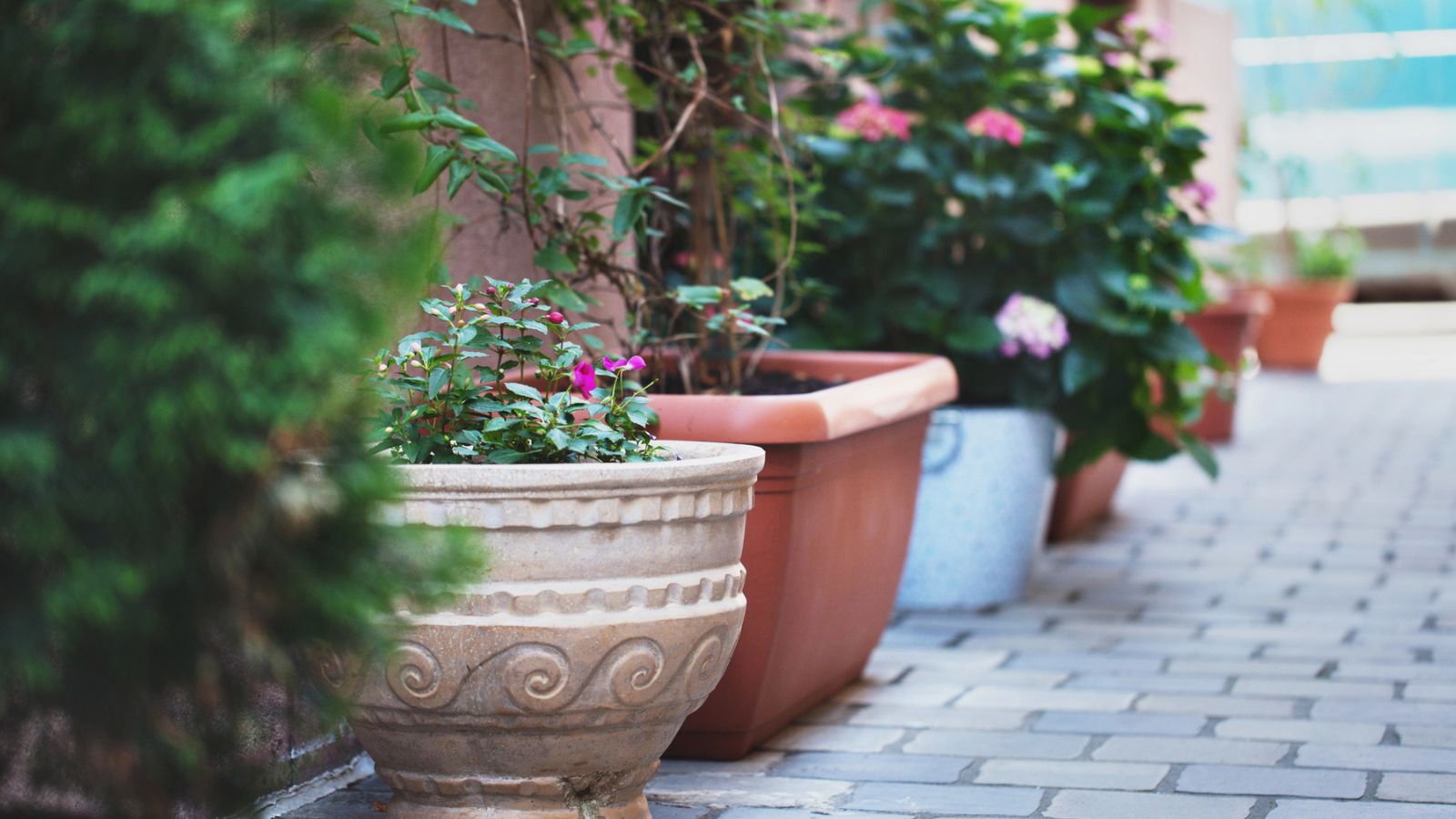 The Best Materials to Layer at the Bottom of the Planter for Drainage