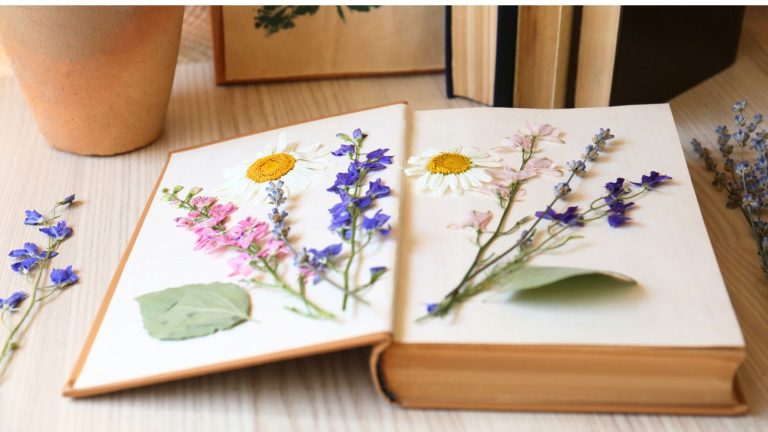18 Creative Grandma-Era Hobbies That Relieve Stress and Boost Happiness