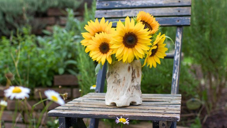 Help Your Cut Sunflowers Stay Beautiful Longer With These Simple Tricks