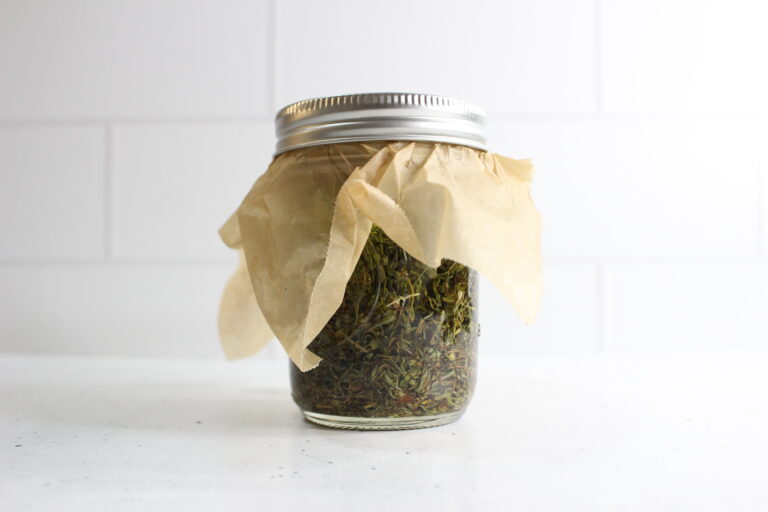 St John's Wort Oil + Salve