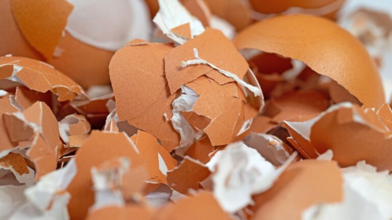 How to Put Eggshells to Work in the Garden