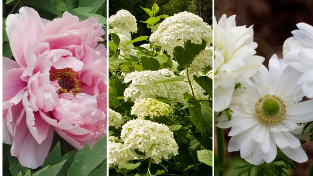 Taylor Swift’s fairytale engagement flowers stole the show 1 flowers