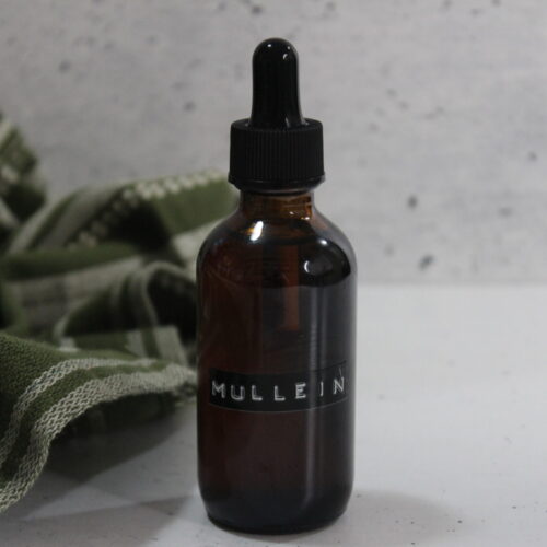 DIY Mullein Tincture 10 Mullein Tincture 3 scaled 1