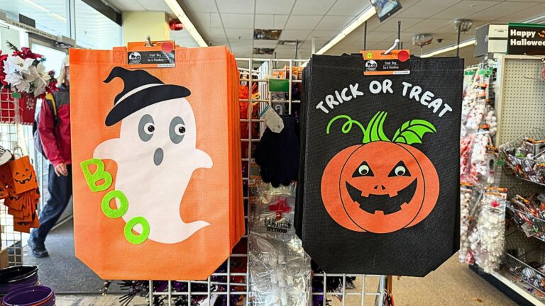 Yes, Dollar Tree already has Christmas stuff — but the Halloween aisle is so good (and scary)